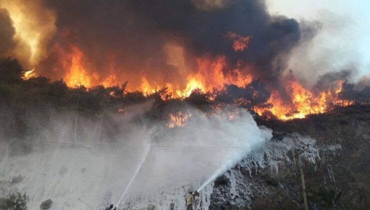 Datça’da orman yangını çıktı