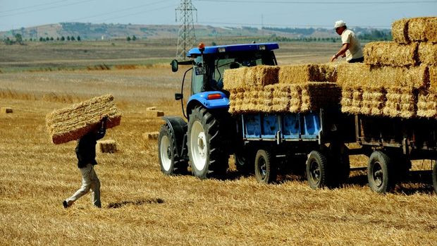 Tarım-ÜFE aylık yüzde 2,14 arttı
