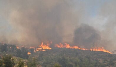 Kazakistan’daki orman yangınında ölen işçilerin sayısı 14’e çıktı