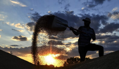 Buğday, soya ve mısır fiyatlarında artış