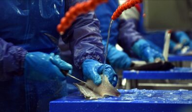 Rusya, dost olmayan ülkelerden balık ve deniz ürünleri ithalatını yasakladı