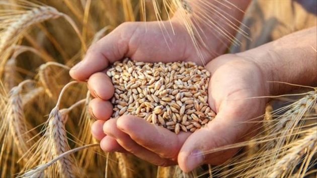 Dr. Eren Günhan Ulusoy: Dünyanın 2 aylık buğday devir stoğu kaldı