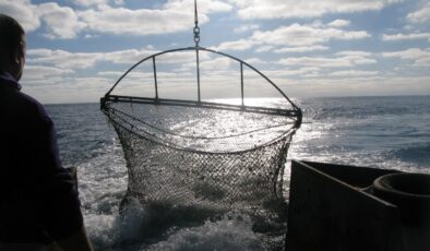 BM, Karadeniz balıkçılığı için veri tabanını kullanıma sundu