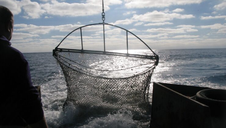 BM, Karadeniz balıkçılığı için veri tabanını kullanıma sundu