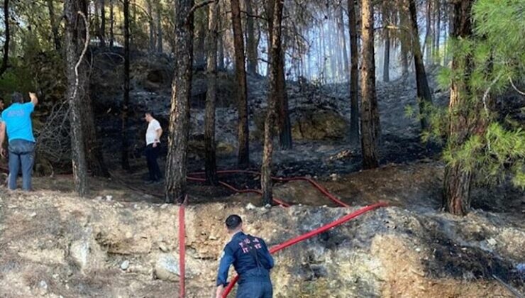 Muğla’daki orman yangınında sabotaj şüphesi