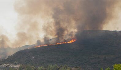 Yunanistan’daki orman yangınlarda ölenlerin sayısı 4’e yükseldi