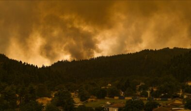 Yunanistan’daki orman yangınları karbon emisyonunda rekor getirdi