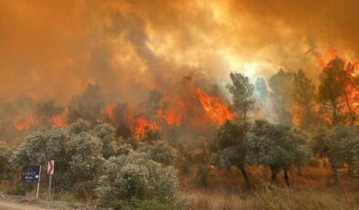 Antalya ve Muğla’da Orman Yangını