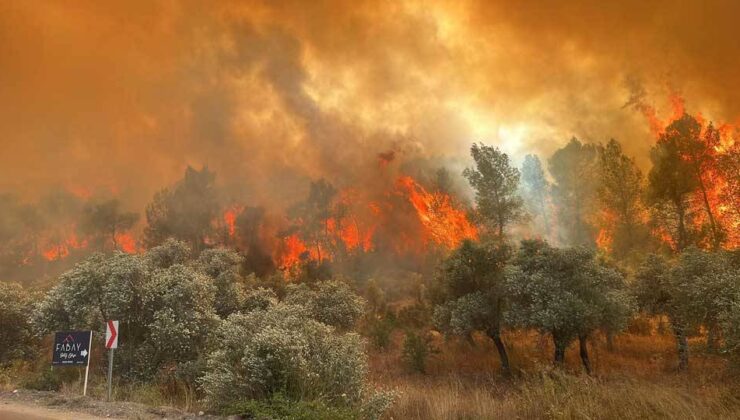 Antalya ve Muğla’da Orman Yangını