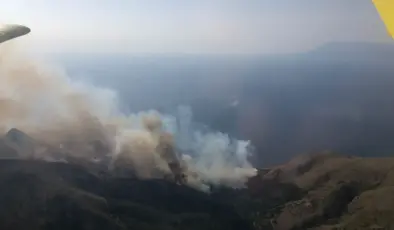 Gökçeada’daki orman yangını 16 saat sonra kontrol altına alındı
