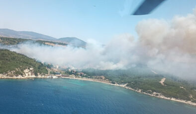 İzmir’de 2 ayrı bölgede orman yangını