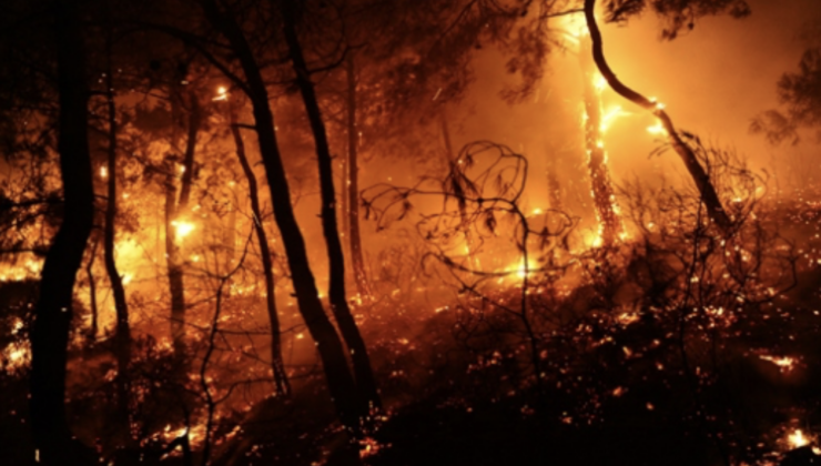 Orman yangınları neden durdurulamıyor?