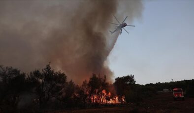 Kuzey yarım küredeki orman yangınları 40 kişinin ölümüne neden oldu