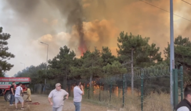 İstanbul’da orman yangını!