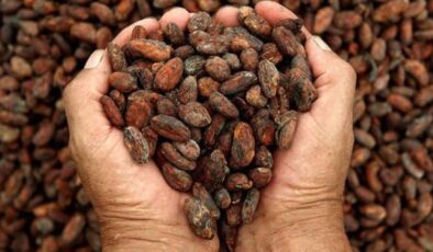 Kakao fiyatları 46 yılın zirvesinde