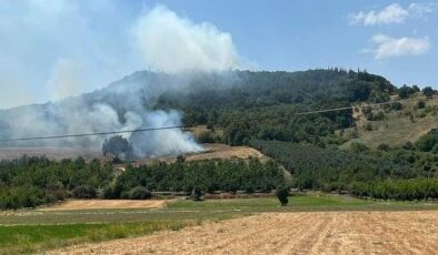 Bursa’da ormanlık alanda çıkan yangın söndürüldü