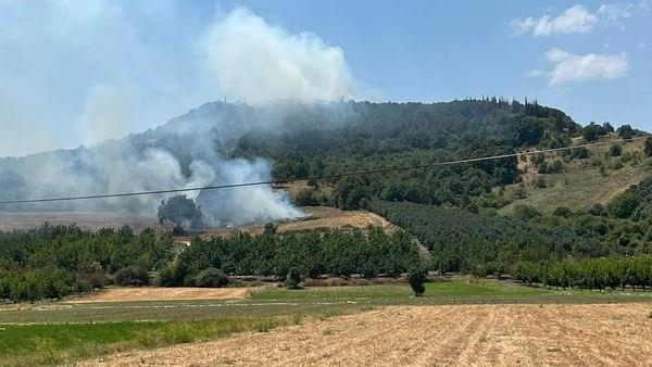 Bursa’da, Uludağ eteklerinde orman yangını çıktı