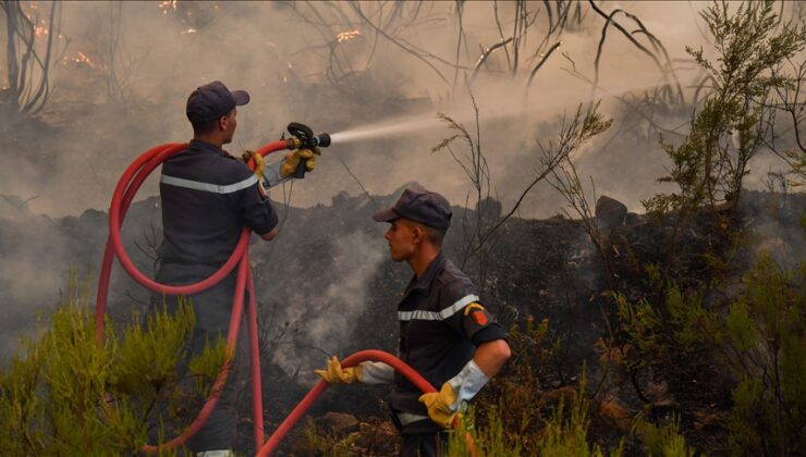 Fas’ın kuzeyindeki orman yangını üç gündür devam ediyor