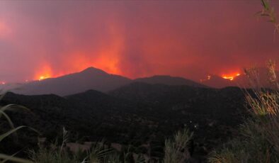 GKRY, Limasol’daki orman yangını için yardım istedi