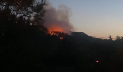 Maltepe’de çıkan orman yangını kontrol altına alındı, 3 hektar alan zarar gördü