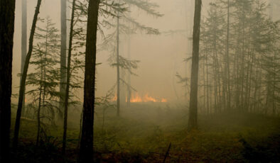 Rusya’da orman yangınlarıyla mücadele sürüyor