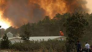 Bolu’da orman yangınına müdahale ediliyor
