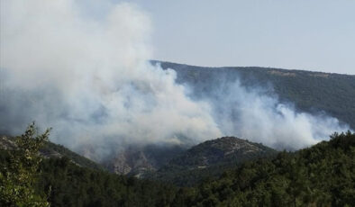 Bilecik’te çıkan orman yangınına havadan müdahale ediliyor