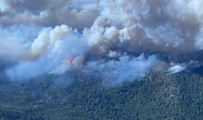 Kanada, orman yangınlarıyla mücadele ediyor