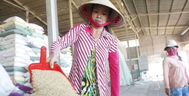 Pirinç fiyatları 15 yılın en yüksek seviyesinde