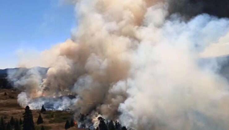 Bolu, İzmir ve Adana’da orman yangını