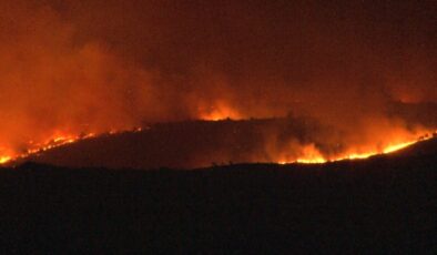 Bulgaristan sınırında yangın