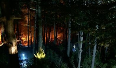 Çekmeköy’de ormanlık alanda yangın çıktı