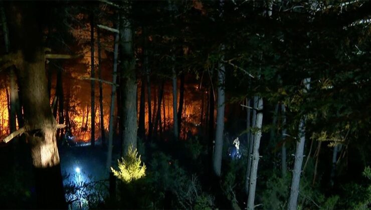 Çekmeköy’de ormanlık alanda yangın çıktı