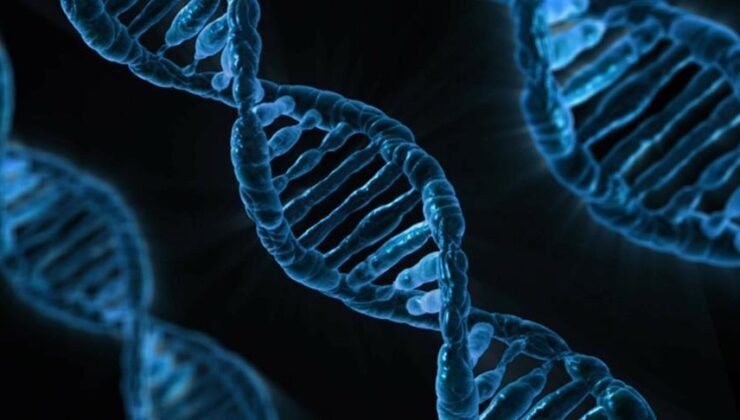DeepMind, DNA’da hastalığa yol açan genlerin bulunmasını hızlandırıyor