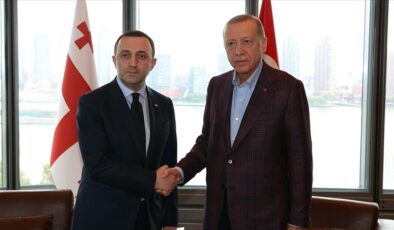 Erdoğan, Gürcistan Başbakanı Garibaşvili ile görüştü