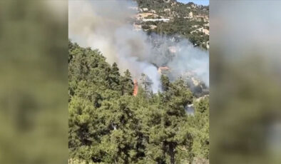 Antalya’nın Kaş ilçesinde orman yangını çıktı