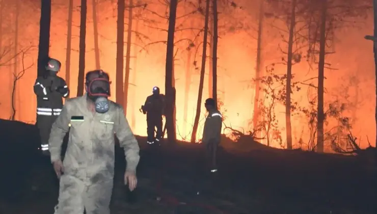 Son Dakika: Pendik’te orman yangını