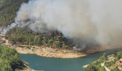 Alanya’da orman yangını çıktı