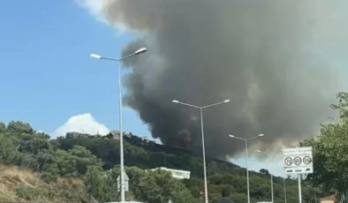 Maltepe’de ormanlık alanda yangın çıktı