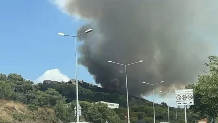 Maltepe’de ormanlık alanda yangın çıktı