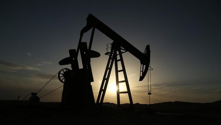 Almanya’nın Hindistan’dan petrol ürünleri ithalatı 12 katına çıktı