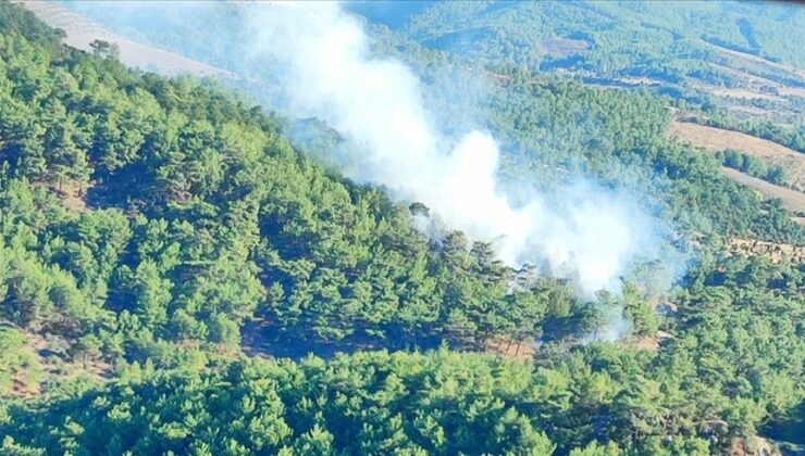 Çanakkale’de orman yangını çıktı