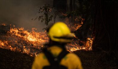 Kanarya Adaları’nda orman yangını nedeniyle binlerce kişi tahliye edildi