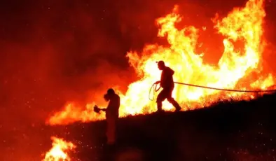 Muğla Prensen Dağı’nda yangın