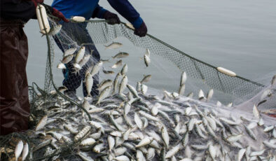 Egeli balıkçıların 11 aylık ihracatı 1 milyar doları aştı