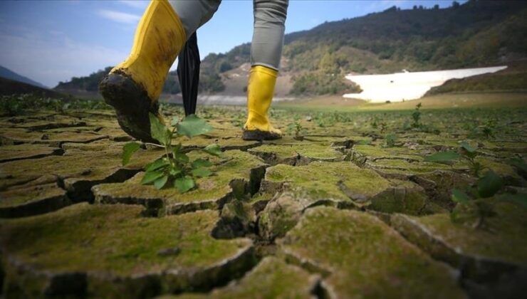 “Tarım-gıda sektörü, iklim değişikliği nedeniyle artan bir tehditle karşı karşıya”