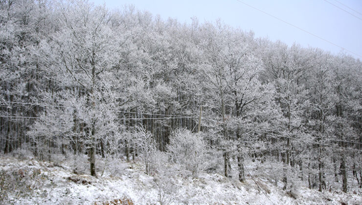 Türkiye genelinde kar yağışı etkili oldu