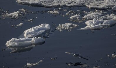 Araştırmalar Grönland’ın saatte 30 milyon ton buz kaybettiğini gösterdi