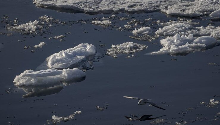 Araştırmalar Grönland’ın saatte 30 milyon ton buz kaybettiğini gösterdi