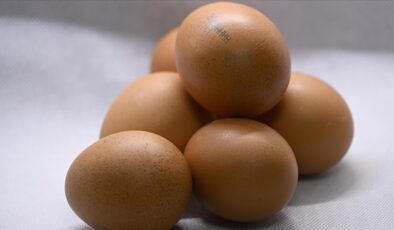 Rusya, Türkiye’den 1,5 milyon adet yumurta ithal etti